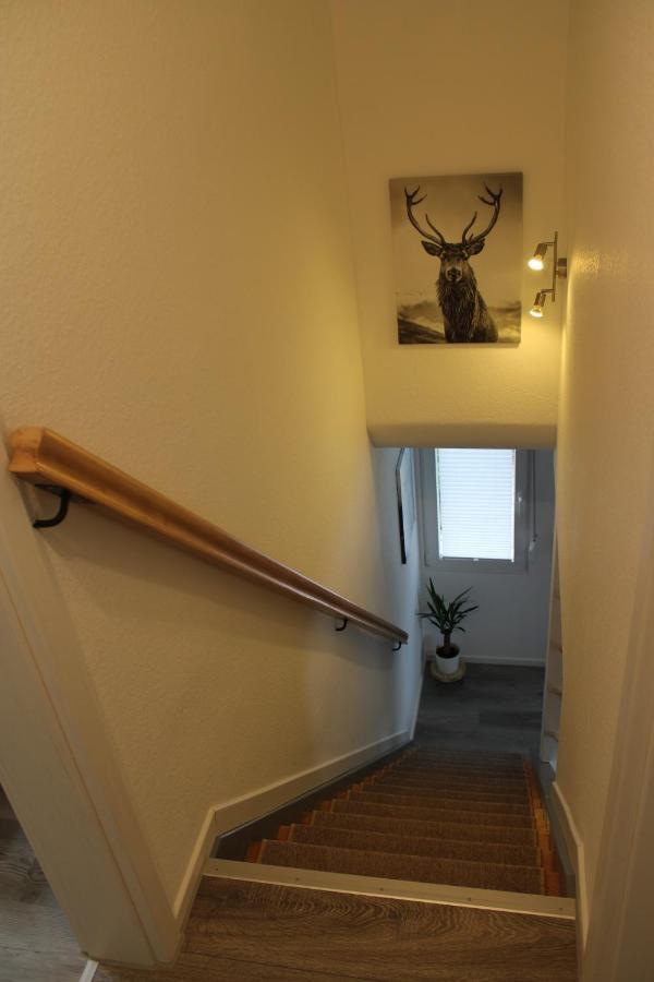 Ferienhaus Rauhfelsen 바이에르스브론 외부 사진